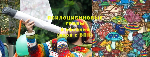 синтетический гашиш Богородск