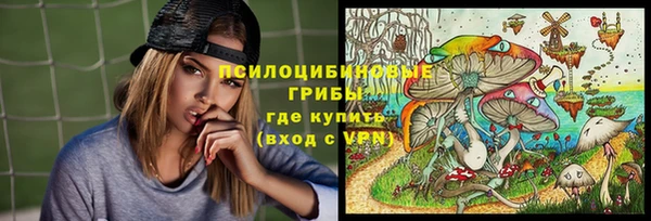 синтетический гашиш Богородск