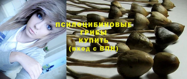 синтетический гашиш Богородск