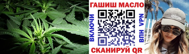 Купить  Нолинск  ТГК жижа 