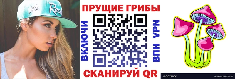 Купить где  Нолинск  Галлюциногенные грибы мухоморы 